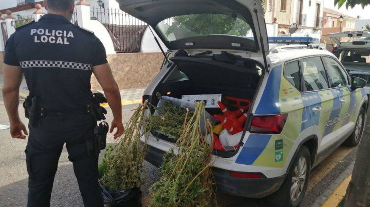 Encuentran 25 kilos de  marihuana en una casa de Bollullos de la Mitación