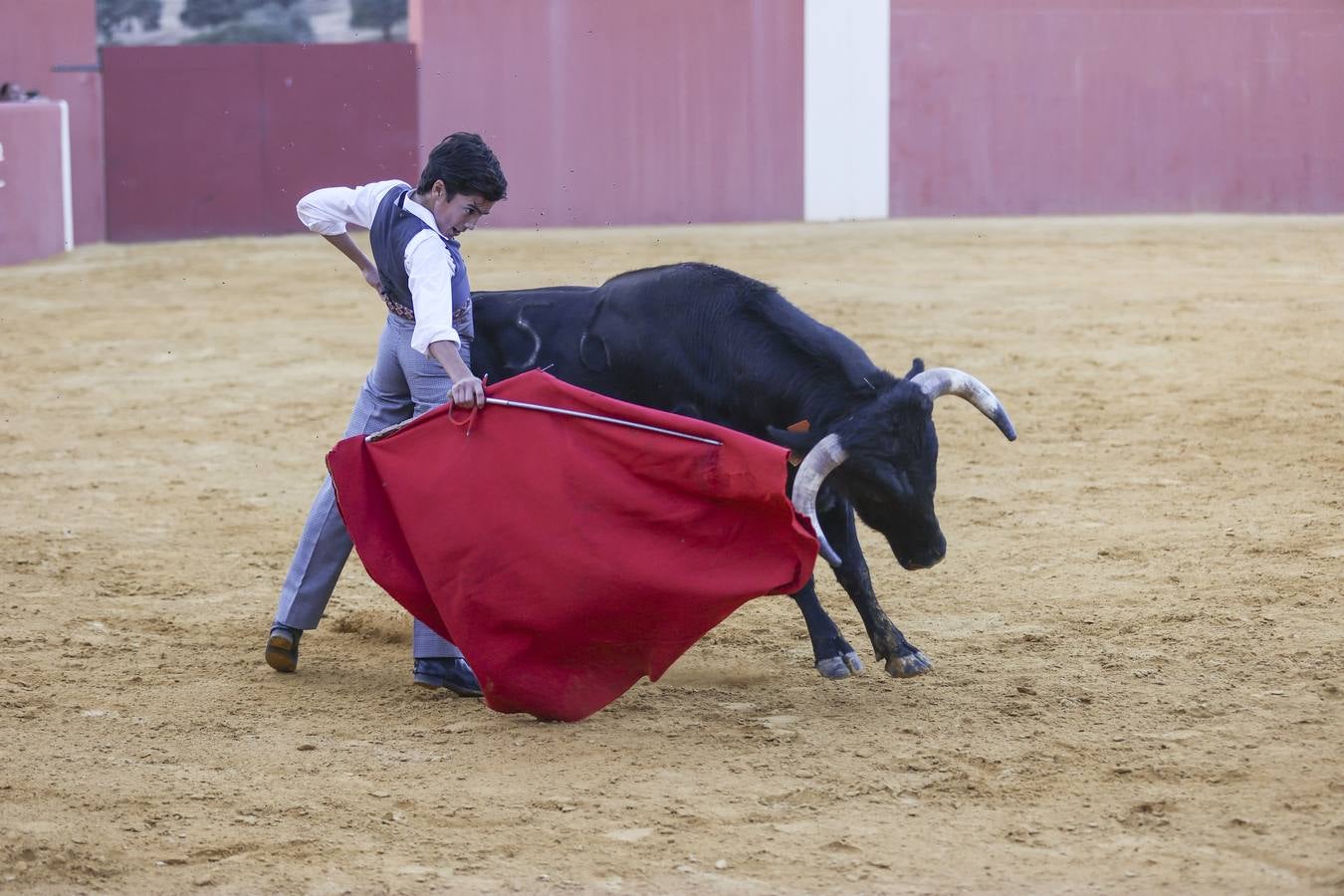El novillero Marco Pérez, en la finca de Juan Antonio Ruiz 'Espartaco'