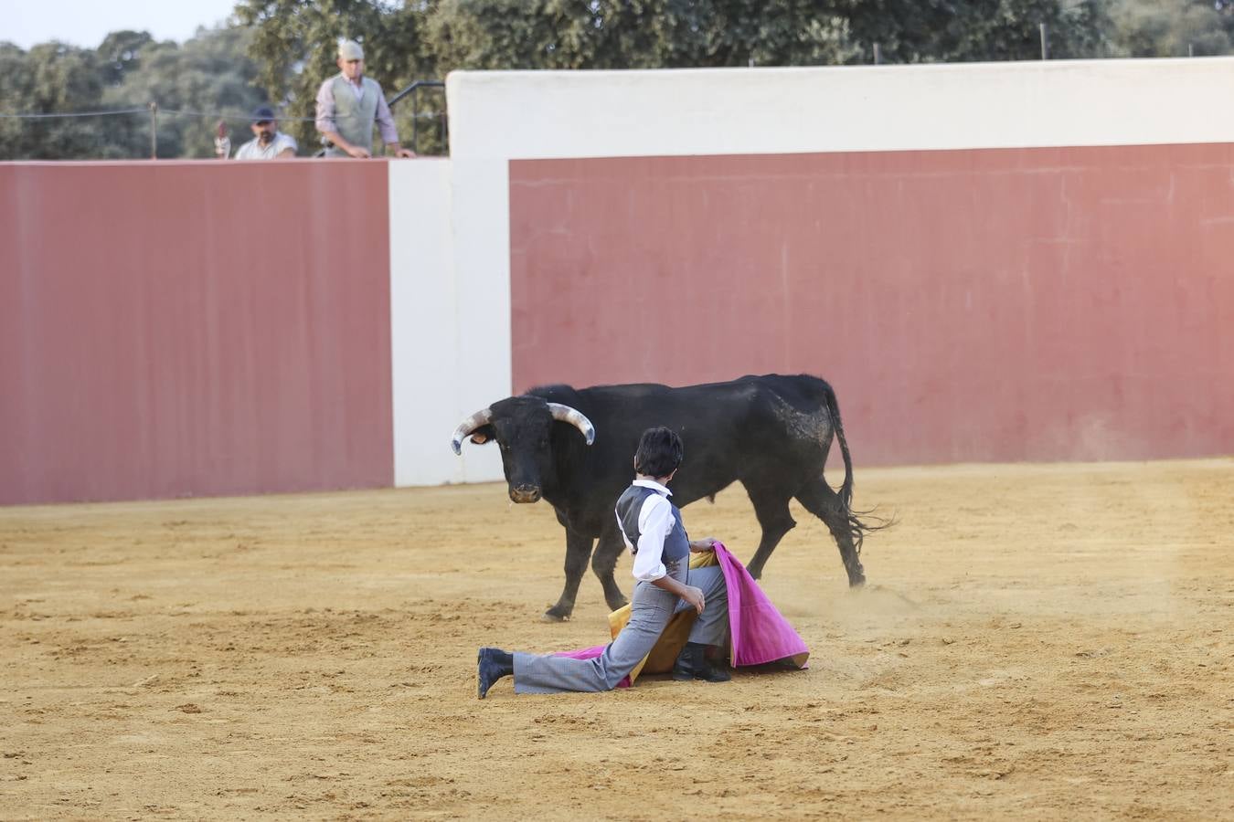 El novillero Marco Pérez, en la finca de Juan Antonio Ruiz 'Espartaco'