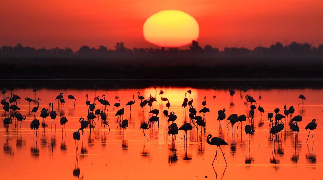 Vuelve Photo Nature Andalucía, el mayor encuentro de fotógrafos de naturaleza