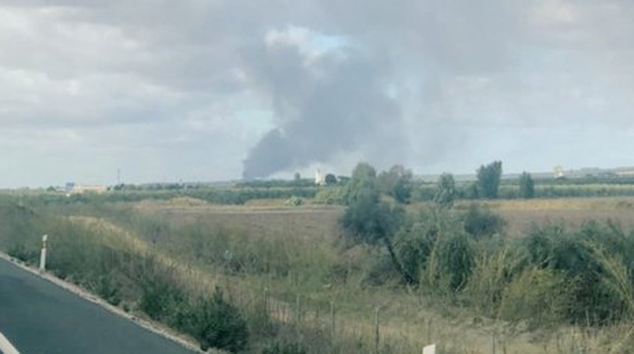 Sin heridos en un aparatoso incendio de una nave de aceites experimentales en Carmona