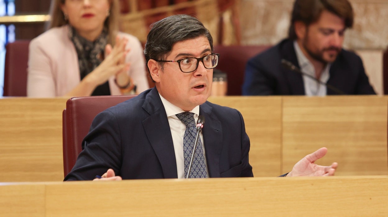 Enfrentamiento entre la gestora de Ciudadanos y el grupo municipal por el relevo de Álvaro Pimentel