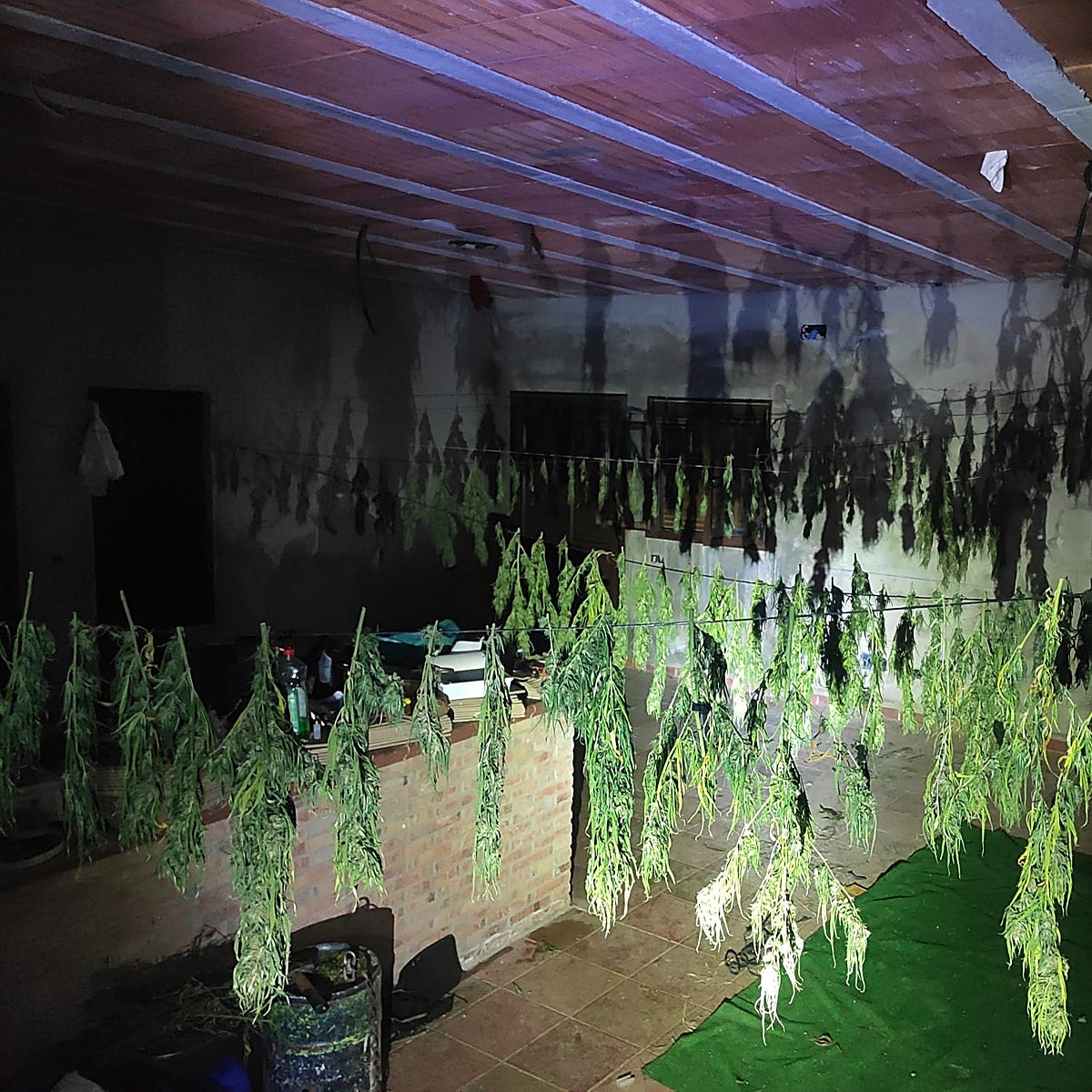 Dos detenidos en Pruna con más de catorce kilos de marihuana lista para ser procesada y vendida