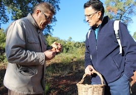 Cita con las setas en la Sierra Morena sevillana