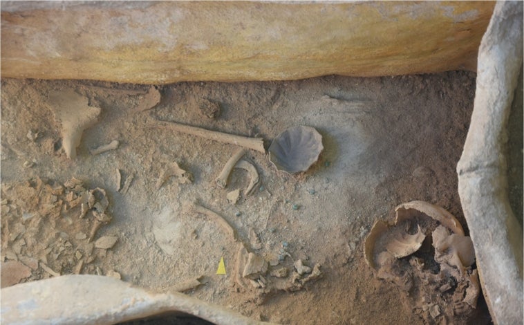Imagen principal - En la imagen de arriba, restos óseos y joyas hallados en la tumba de la excavación de La Puebla de Cazalla. A la izquierda sobre estas líneas, restos de lo que en su época era considerado como un pintalabios y a la derecha, una jarra que formaba parte del ajuar