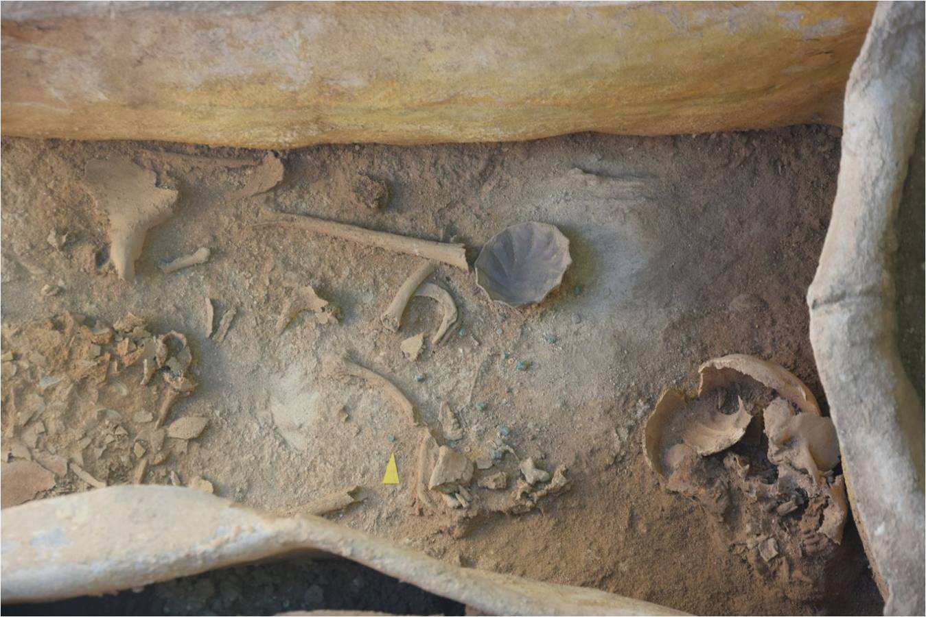 Imágenes de la tumba descubierta por el arqueólogo Alejandro Jiménez y los objetos de valor que albergaba