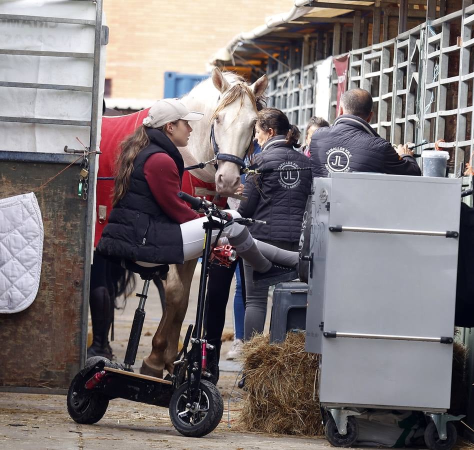 Ambiente este martes de la primera jornada del Salón Internacional del Caballo (Sicab)