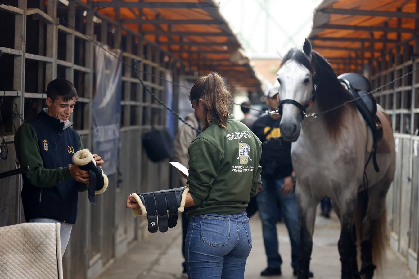 Ambiente este martes de la primera jornada del Salón Internacional del Caballo (Sicab)