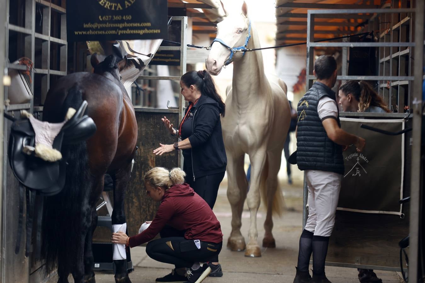 Ambiente este martes de la primera jornada del Salón Internacional del Caballo (Sicab)
