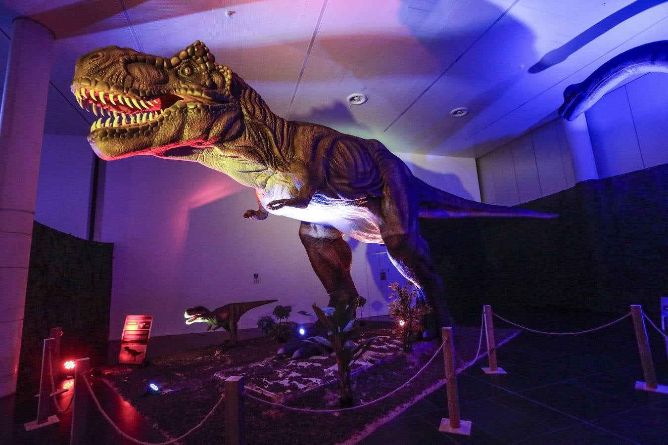 Las réplicas de los dinosaurios impresionan a los visitantes por su gran realismo 