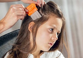 Cómo combatir los piojos: causas, síntomas y tratamiento