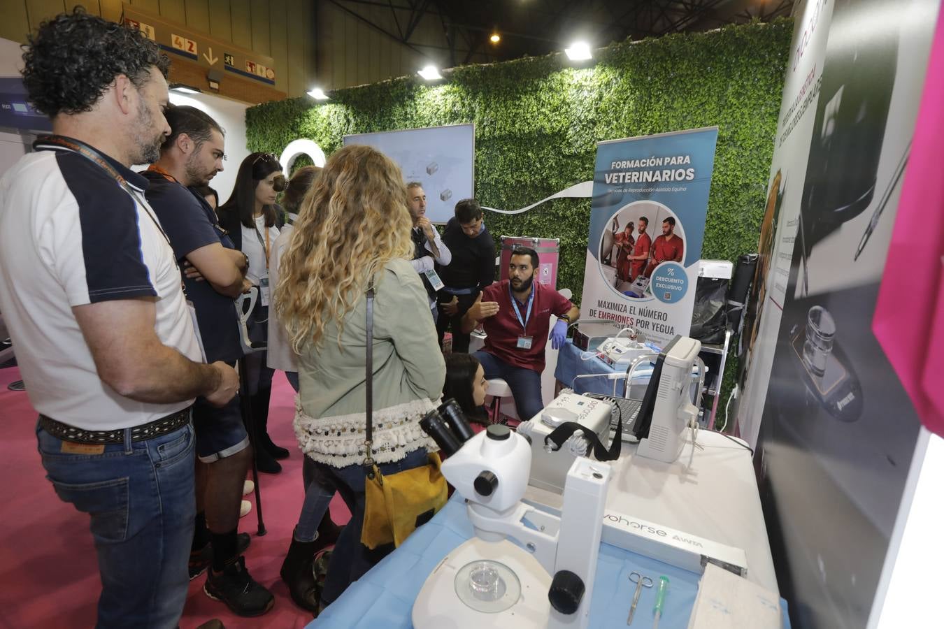 La muestra recibió este sábado mucho público, que disfrutó de la belleza de los caballos de pura raza española 