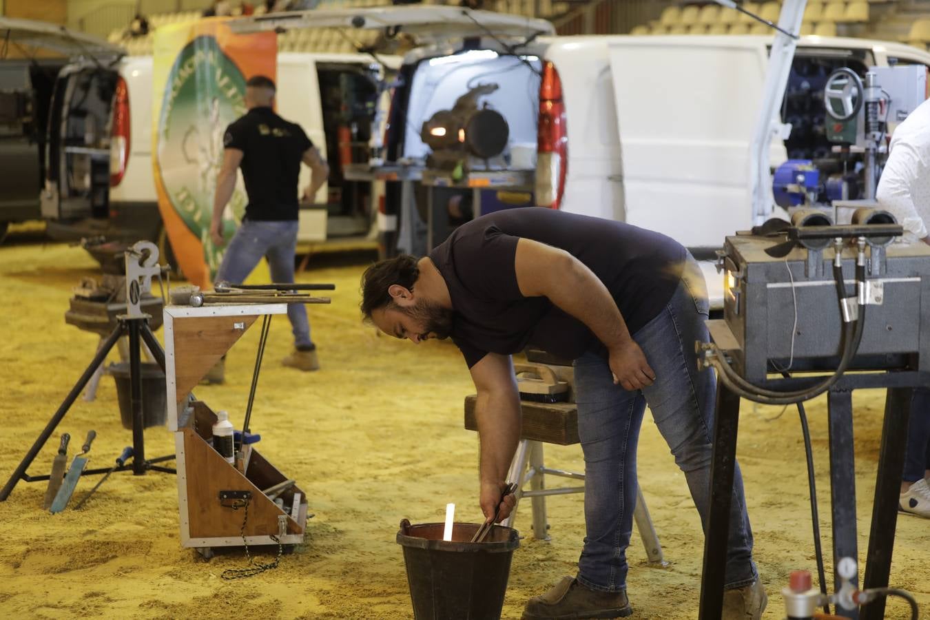 La muestra recibió este sábado mucho público, que disfrutó de la belleza de los caballos de pura raza española 