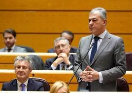 Sanz y Marlaska se enzarzan en el Senado sobre la seguridad de Sevilla
