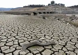 La última oportunidad para salvar la sequía en Sevilla