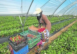 Los trabajadores fijos discontinuos se han duplicado en Andalucía desde marzo