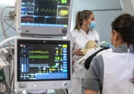 Sanidad adjudica los equipos de protonterapia que financiará Amancio Ortega para el Hospital Militar de Sevilla