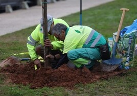 El Ayuntamiento de Sevilla planta un centenar de nuevos árboles en el Parque Guadaíra