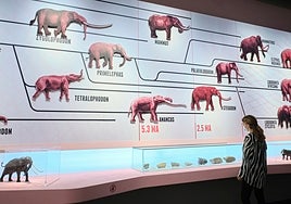 CaixaForum Sevilla cerró el año 2022 con casi 195.000 visitantes