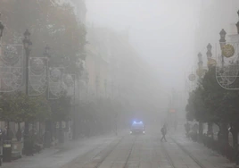Imágenes de una Sevilla que amanece, de nuevo, bajo una intensa niebla