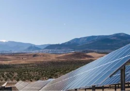 Aquila Clean Capital conecta a la red eléctrica una planta solar de 50 MW en Jaén