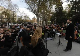 El concierto de protesta de la Real Orquesta Sinfónica de Sevilla, en imágenes