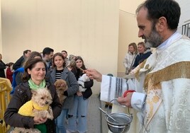 Bendición de mascotas por San Antón en la parroquia de los Ángeles de Montequinto