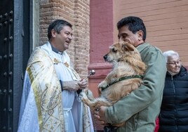 Bendición de animales por San Antón Abad en Sevilla