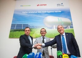 Cepsa, Enagás y Alter Enersun harán una planta de hidrógeno verde en Huelva