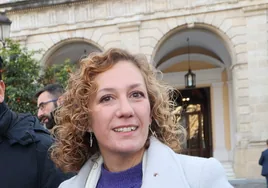 Ingeniera, experta en ondas electromagnéticas y madre... así es Susana Hornillo, la candidata de la izquierda en Sevilla