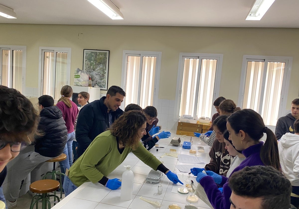 El alumnado de 2º de Bachillerato de Ciencias y Humanidades durante una de las prácticas del concurso