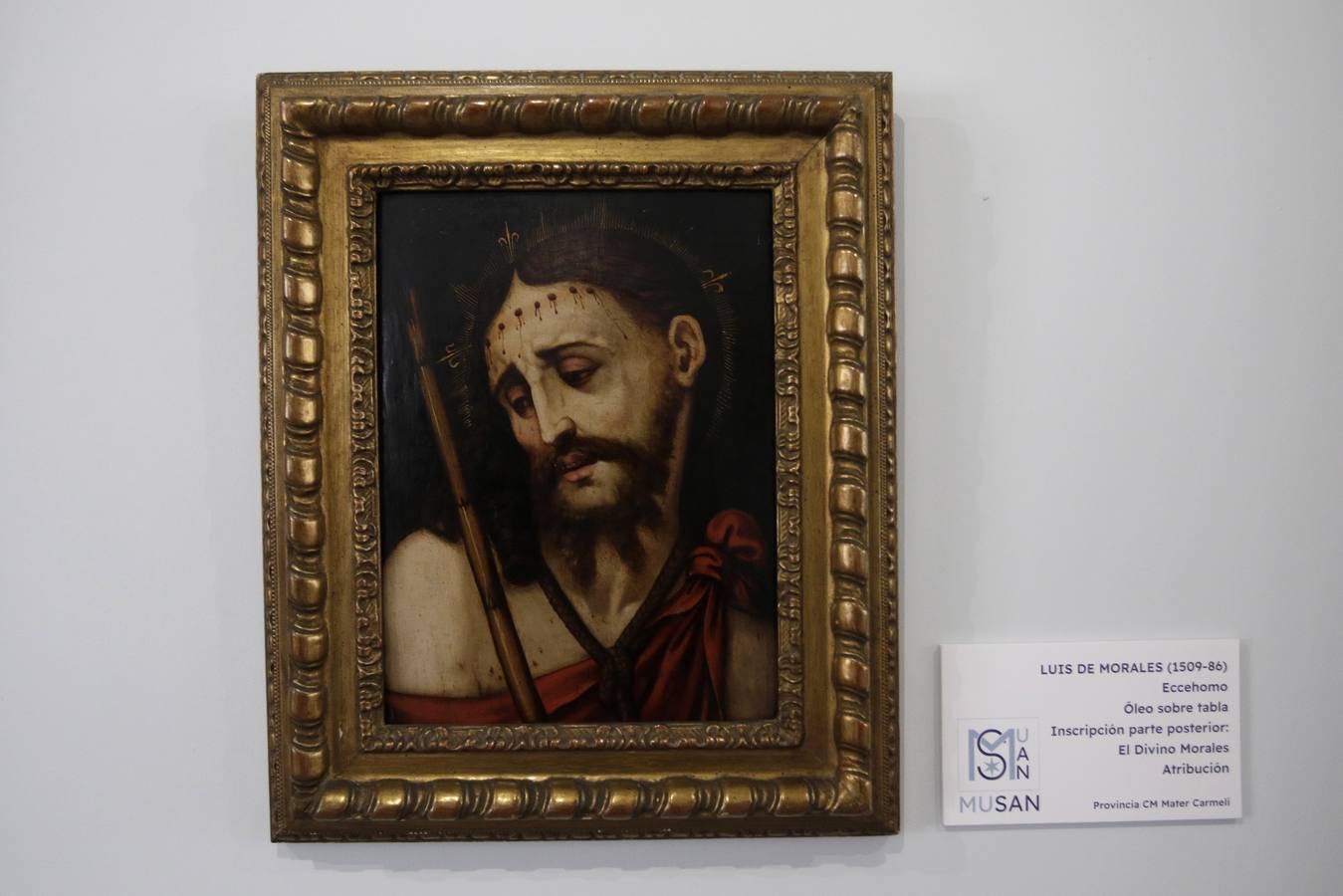 Ampliación del museo de los Carmelitas del Santo Ángel