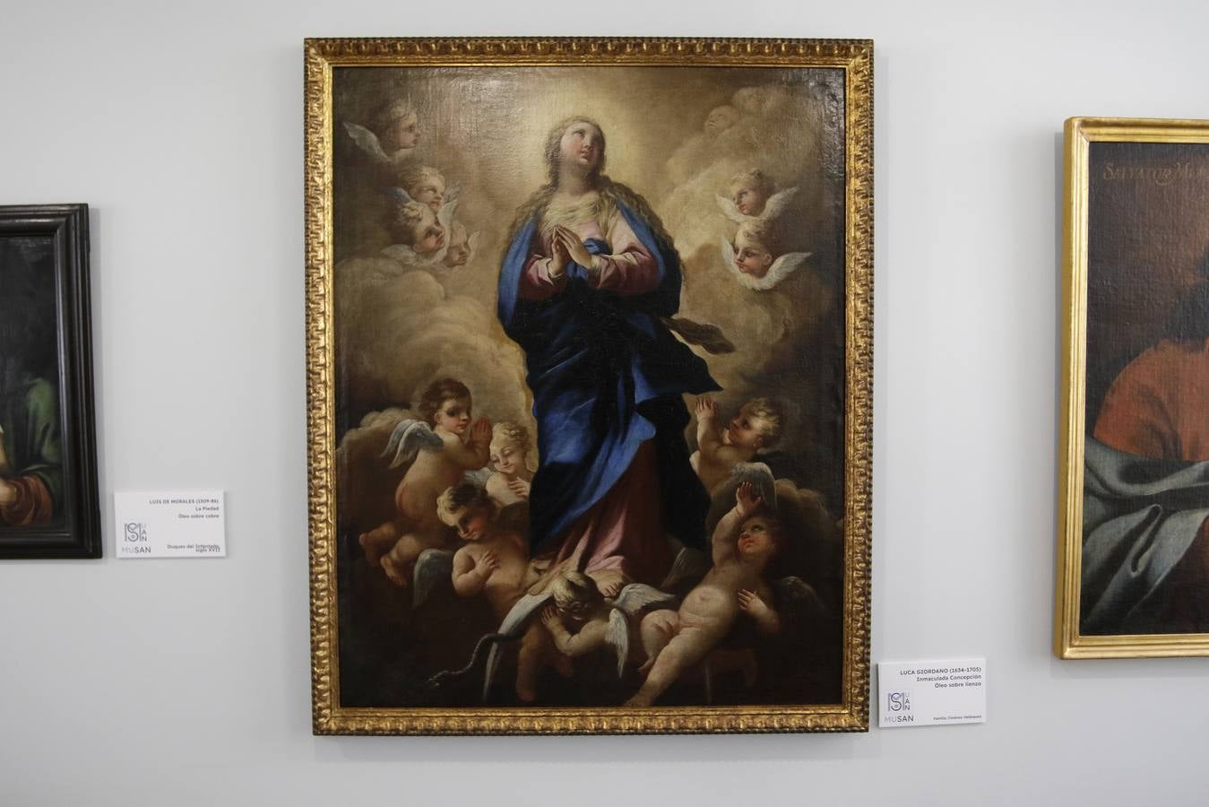 Ampliación del museo de los Carmelitas del Santo Ángel