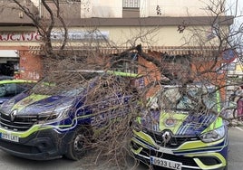 Caen varios árboles sobre coches de Policía en la Comisaría de la Macarena