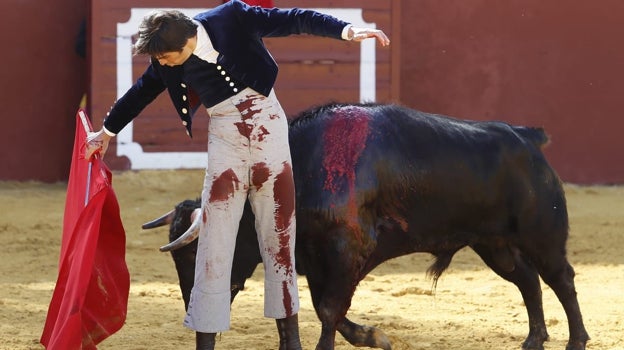 Perera terminó con sus calzonas cubiertas de sangre