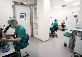 Nace el Instituto de Fertilidad en el Hospital Viamed de Sevilla