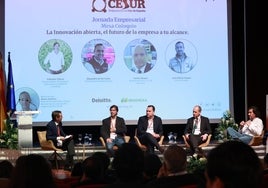 El 70% de los empresarios de Cesur no ha solicitado fondos Next Generation