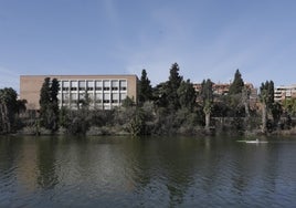 Plan de limpieza de la barrera vegetal que oculta los terrenos del proyecto Altadis