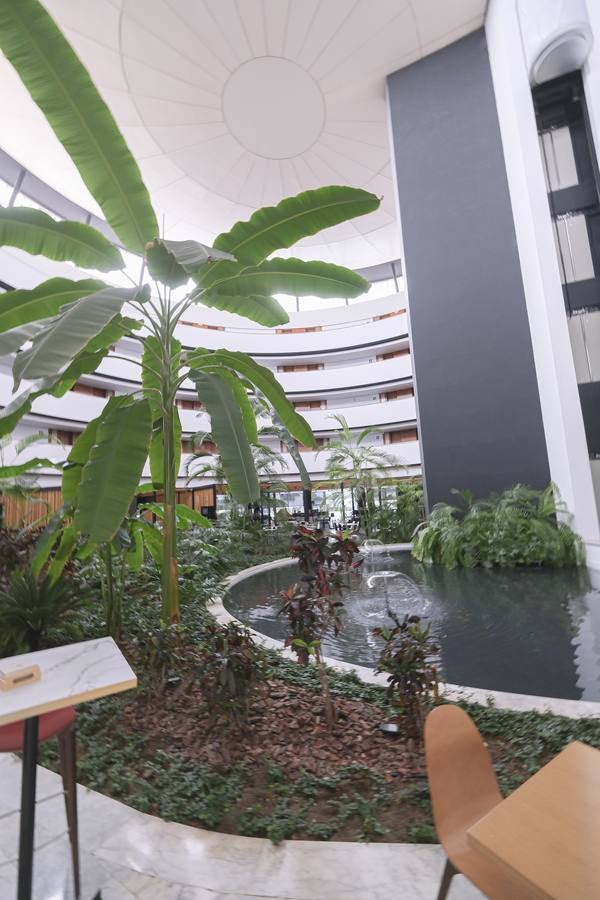 Instalaciones del hotel Barceló Renacimiento