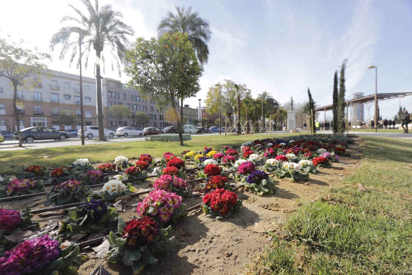 Los sevillanos ya pueden disfrutar de este nuevo tramo de la calle Torneo y de la plaza