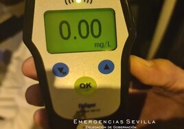 La Policía Local hizo este fin de semana casi 300 pruebas de alcoholemía en Sevilla, de las que nueve dieron positivo