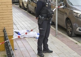 Pasan este miércoles ante el juez los dos detenidos por el apuñalamiento mortal de San Jerónimo