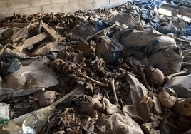 José Luis Sanz llevará a la Fiscalía el hallazgo de nuevos restos humanos en un un osario al descubierto del cementerio de Sevilla