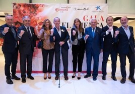 Gala flamenca en Sevilla por una buena causa
