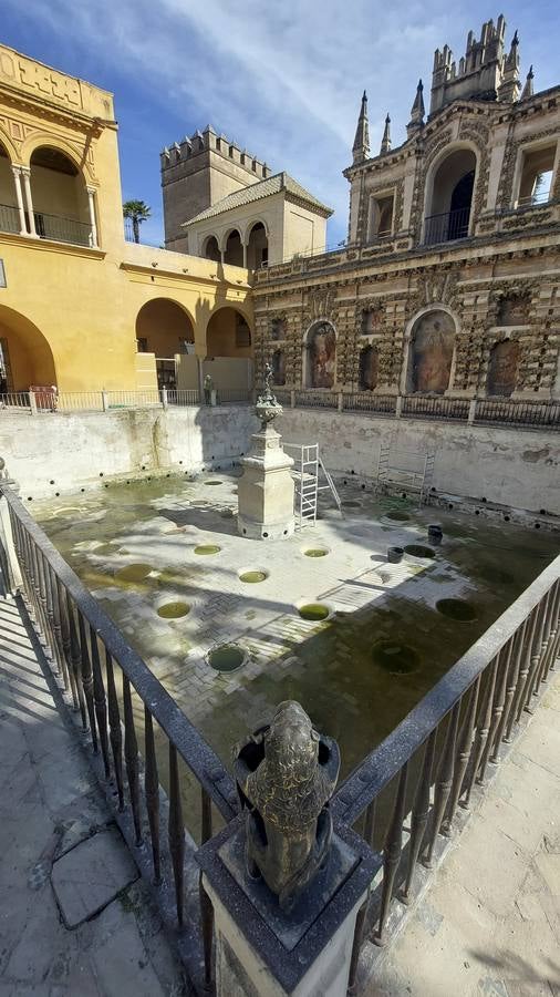 Imágenes de la fuente del Alcázar y los numerosos detalles que han salido a la luz
