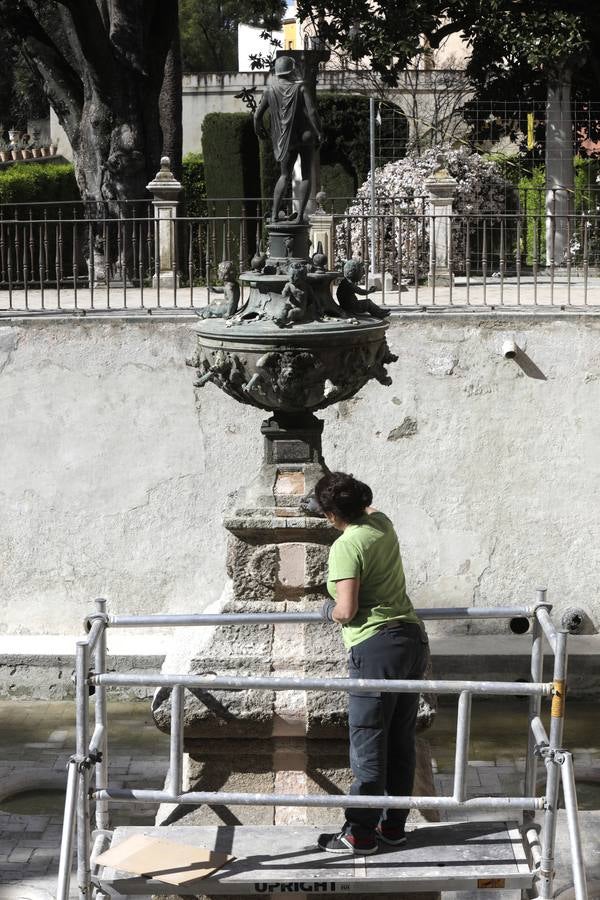Imágenes de la fuente del Alcázar y los numerosos detalles que han salido a la luz