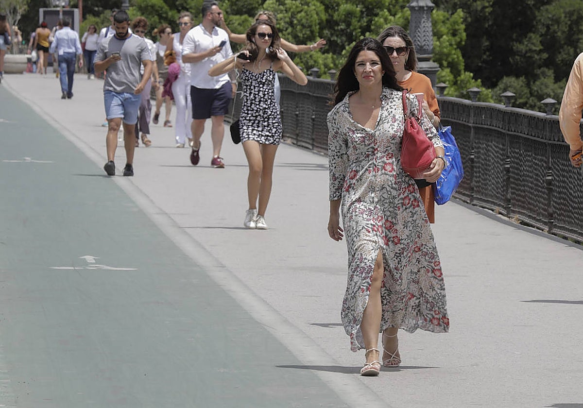 El Puente de Isabel II también está siendo estudiado para la posible instalación de toldos