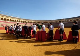 Los escolares sevillanos aprenden a torear en la Maestranza de Sevilla