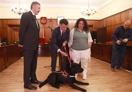 Pusky, el primer perro guía de un juez en España y mascota de la Audiencia Provincial de Sevilla