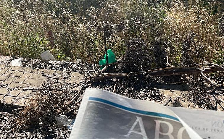 Imagen principal - Basuras en la Isla de la Cartuja. Las fotos fueron tomadas el lunes, miércoles y viernes de la semana pasada. Lipasam no pasa por aquí